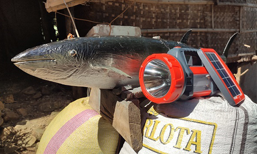 Standard Post with Image